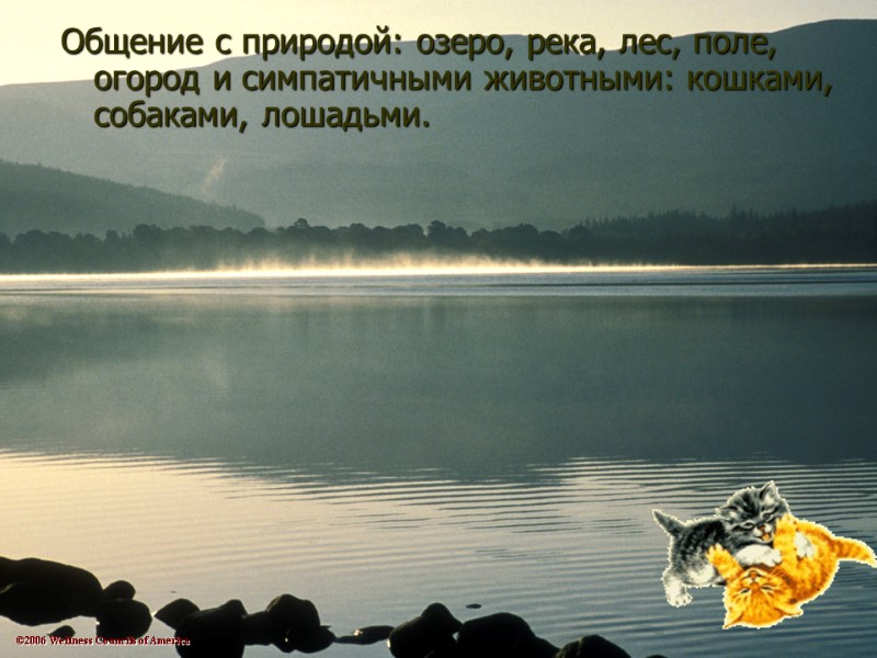 ©2006 Wellness Councils of America Общение с природой: озеро, река, лес, поле, огород и